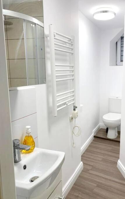 Central Studio Flat Bucareste Exterior foto